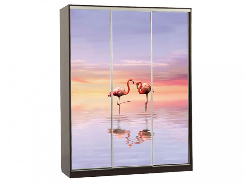 Шкаф-купе Бассо 7-600 19