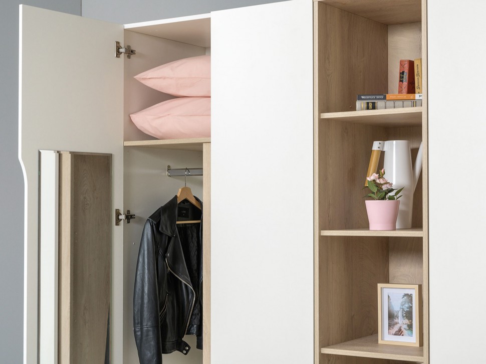 Распашной шкаф Муссон