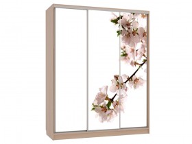 Шкаф-купе Бассо 7 Яблоня