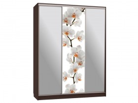 Шкаф-купе Бассо 9-600 83