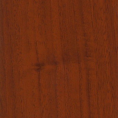 Настенная вешалка ВШ-5.1