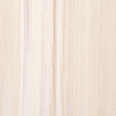 Настенная вешалка СТ-280