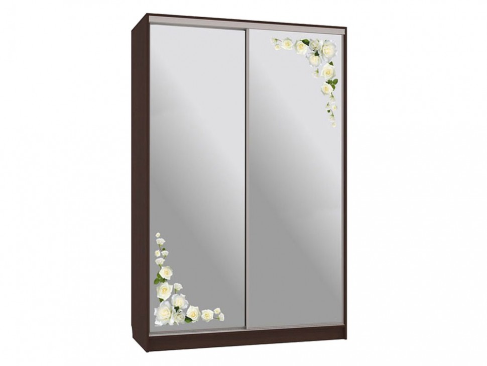 Шкаф-купе Колорадо 4 Розы