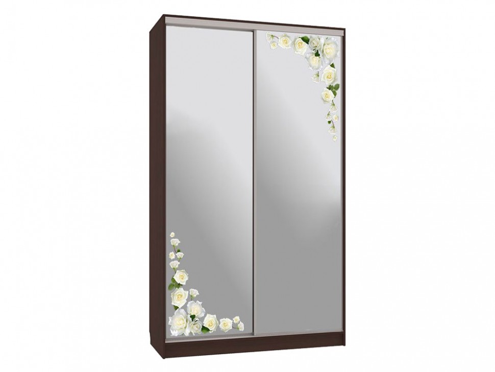 Шкаф-купе Колорадо 4 Розы