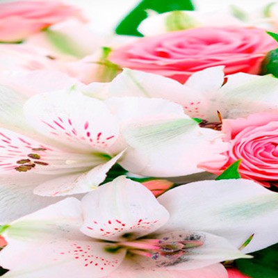 Кухонный стол Кухонный стол Прованс