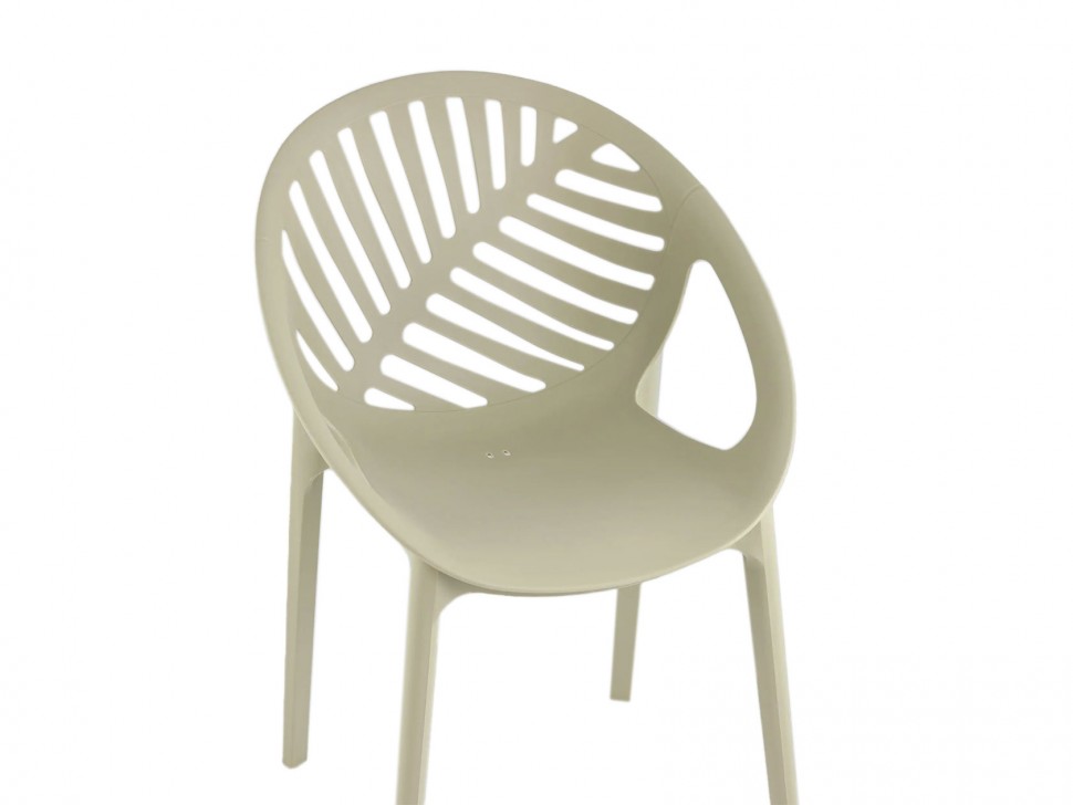 Стул Монстера