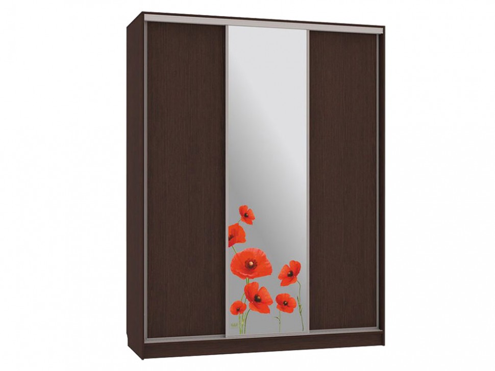 Шкаф-купе Бассо 1 Маки