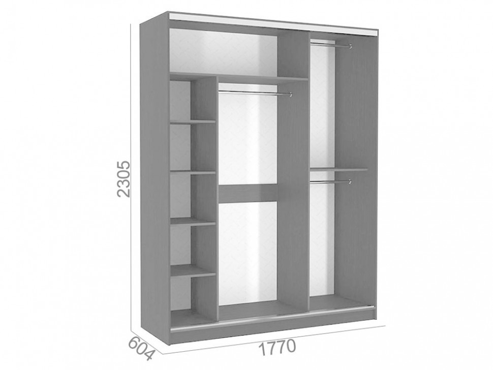 Шкаф-купе Бассо 1 Орхидеи