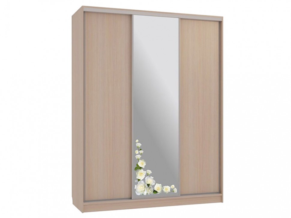 Шкаф-купе Бассо 1 Розы