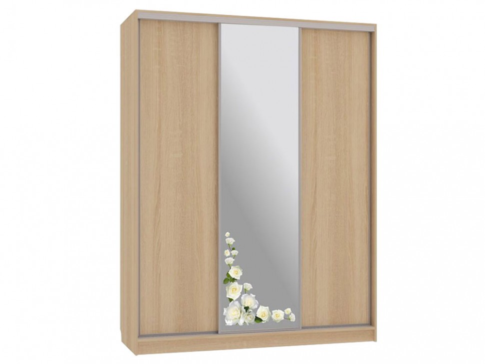 Шкаф-купе Бассо 1 Розы