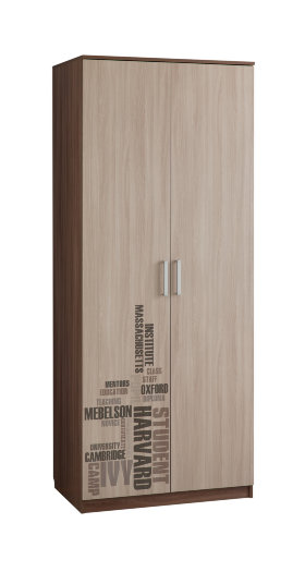 Шкаф распашной Колледж Шкаф 2-створчатый