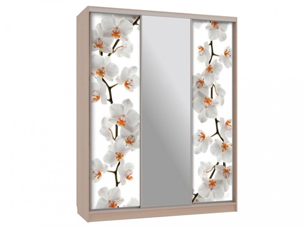 Шкаф-купе Бассо 10 Цветы