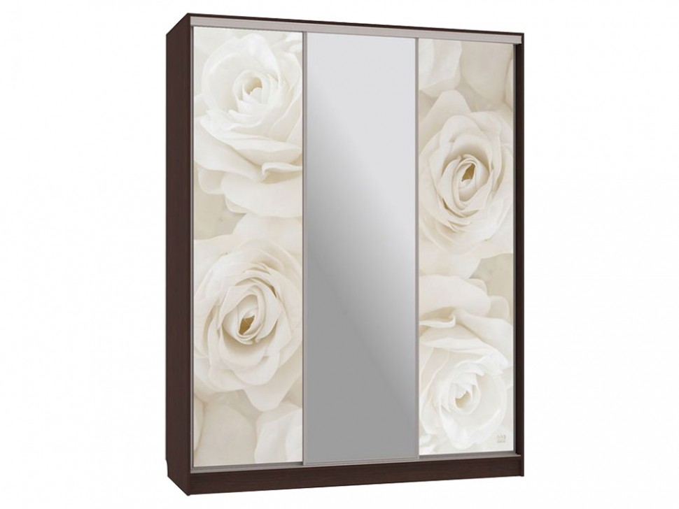 Шкаф-купе Бассо 10-600 розы