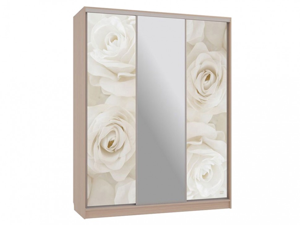 Шкаф-купе Бассо 10-600 розы