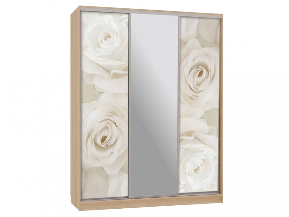 Шкаф-купе Бассо 10-600 розы