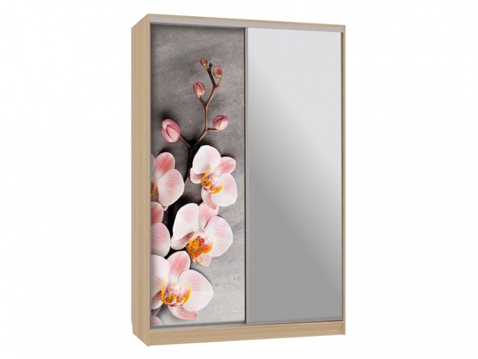 Шкаф-купе Колорадо 9 Цветы