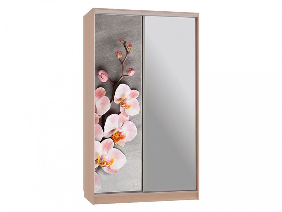 Шкаф-купе Колорадо 9 Цветы