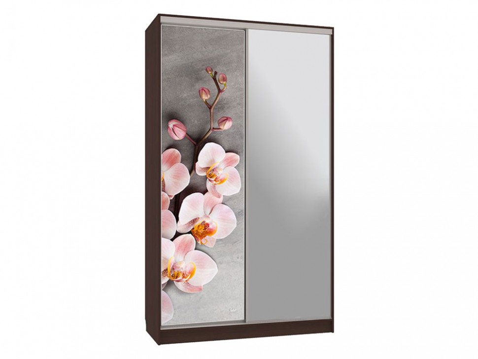 Шкаф-купе Колорадо 9 Цветы