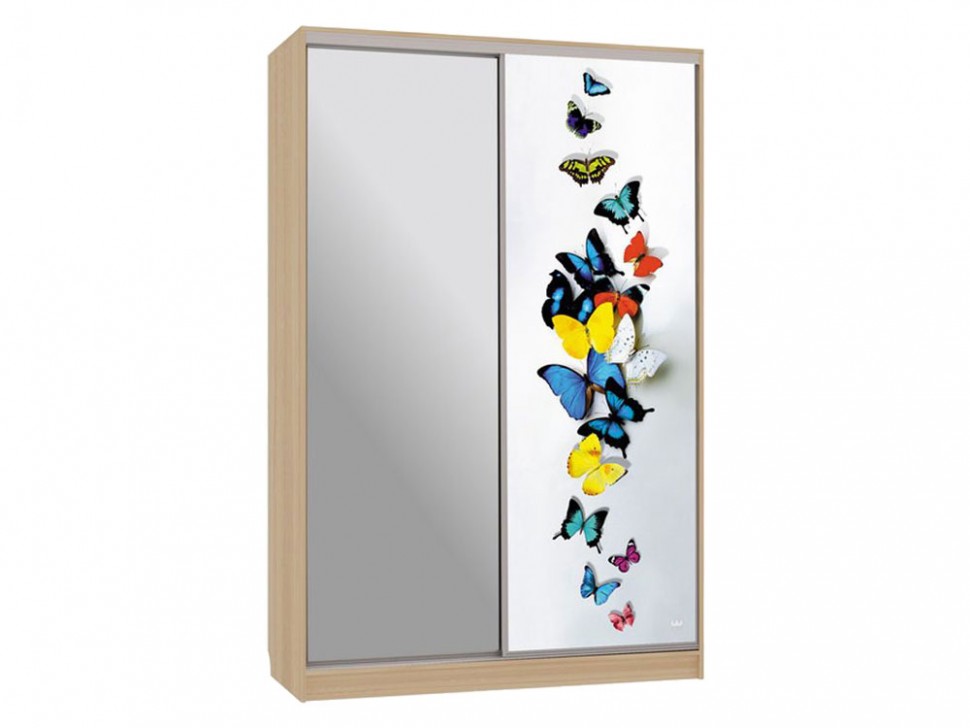 Шкаф-купе Шкаф-купе Рио / Гранд 9-600 88