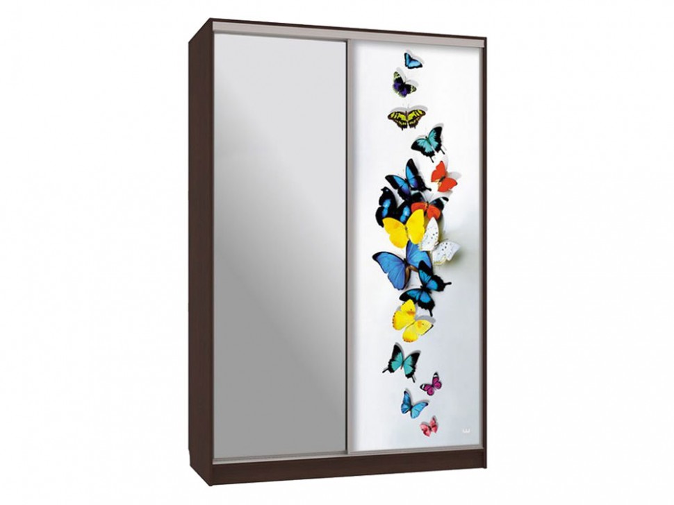 Шкаф-купе Шкаф-купе Рио / Гранд 9-600 88