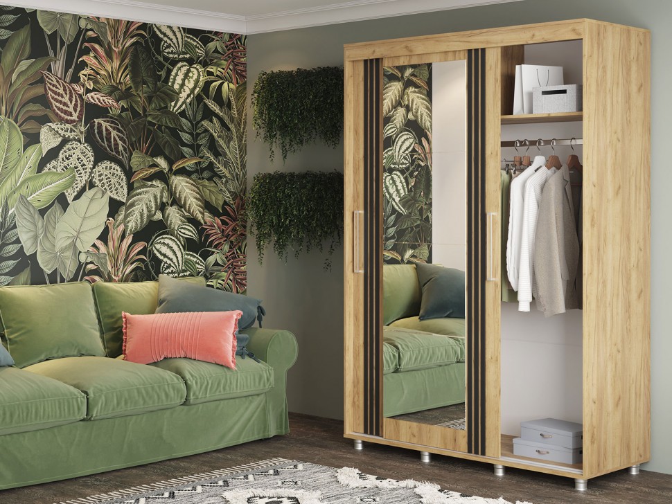 Шкаф-купе Форест