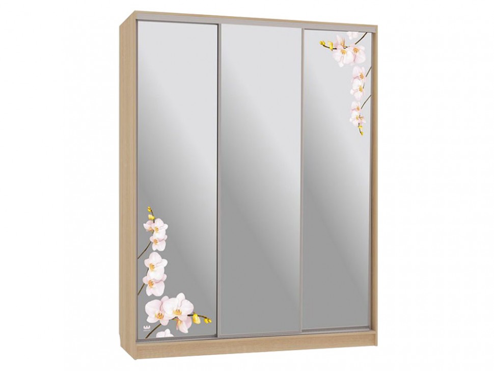 Шкаф-купе Бассо 4 Орхидеи