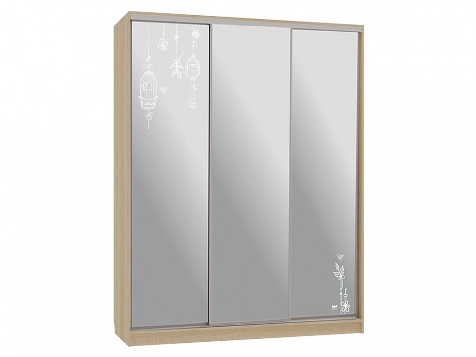 Шкаф-купе Бассо 4 Птицы