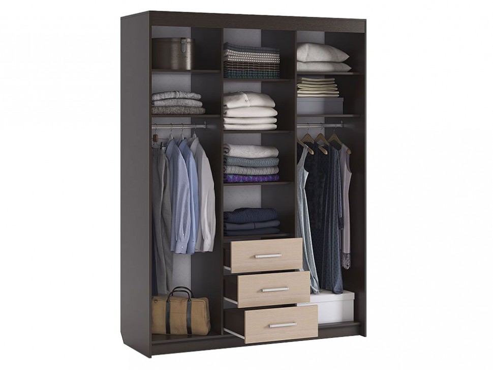 Шкаф-купе Виктория-2