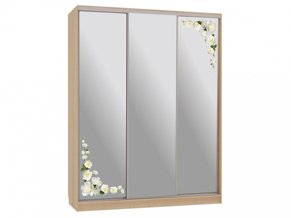 Шкаф-купе Бассо 4 Розы