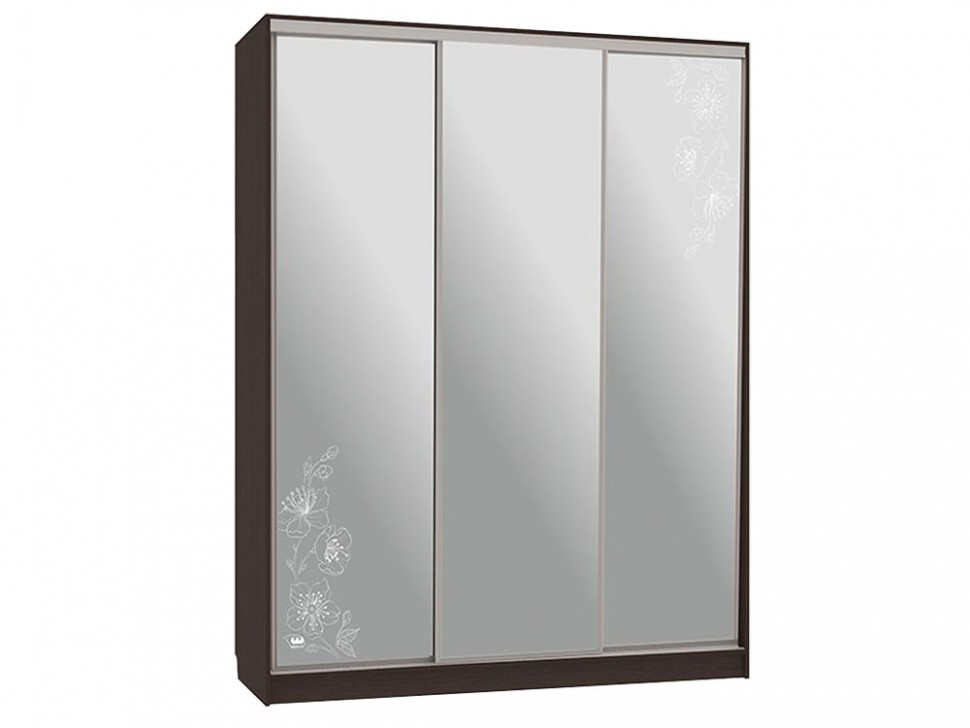 Шкаф-купе Бассо 4-600 токио